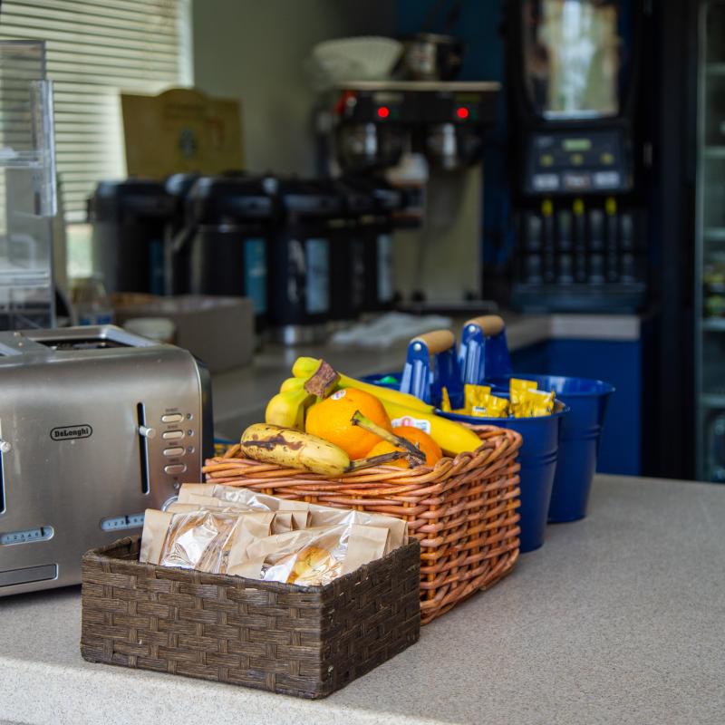 fruit basket at Toast in quad of Stevenson and Darwin halls