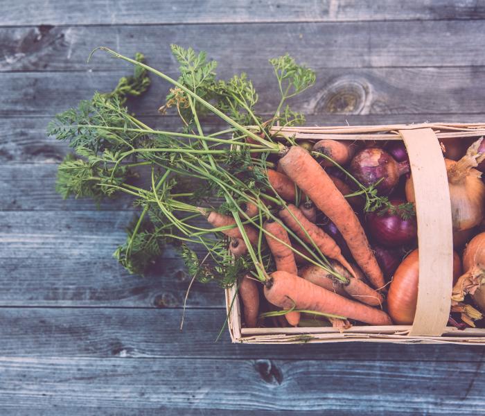 Wood basket of produce including carrots and onions on a wood background