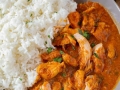 Indian Curry Chicken Dish