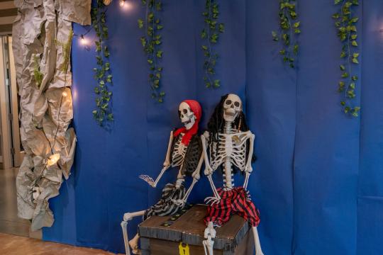 two pirate skeletons