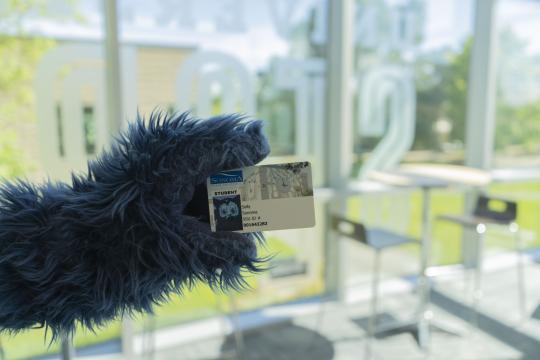 Lobo holding an ID card