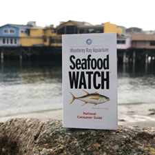 Monterey Bay Aquarium Seafood Watch 