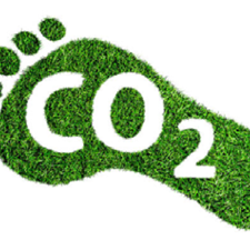 Grass footprint with letters CO2 in it