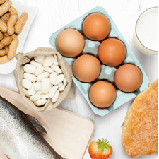Common allergens of bread, eggs, nuts and fish
